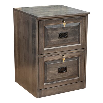 Doonans 2-Drawer Vertical Filing Cabinet by Millwood Pines
