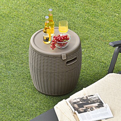 Alayiah Plastic Side Table by Winston Porter