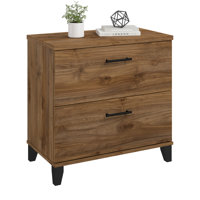 Kaionna 2-Drawer Lateral Filing Cabinet by Inbox Zero