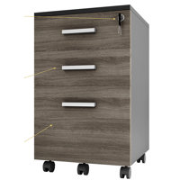 Galia Lazio Hanging File Cabinet W/ 3 Lockable Drawers & Wheels by Inbox Zero