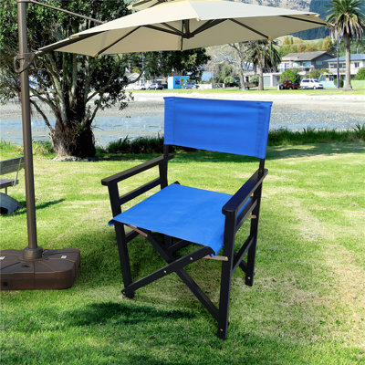 Enger Folding Director Chair by Freeport Park