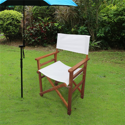 Enger Folding Director Chair by Freeport Park