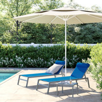 Braaten Adjustable EDP Coated Wrought Iron Frame Breathable Textilence Chaise Lounge Chair by Sol 72 Outdoor