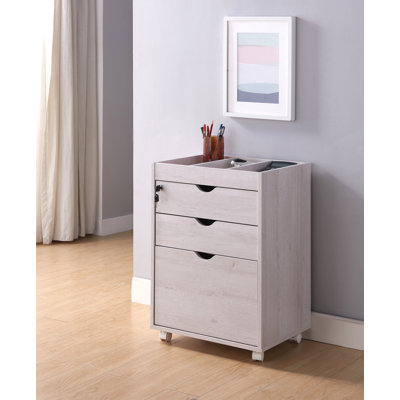 Izzobella 3-Drawer Mobile Vertical Filing Cabinet by Latitude Run