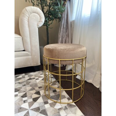 Alanea Stainless Steel Accent Stool by Mercer41
