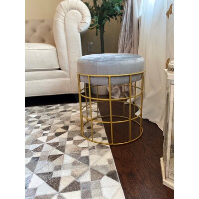 Alanea Stainless Steel Accent Stool by Mercer41