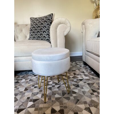 Alaney Stainless Steel Accent Stool by Mercer41