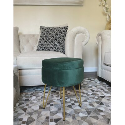 Alaney Stainless Steel Accent Stool by Mercer41