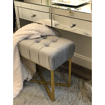 Alane Stainless Steel Accent Stool by Mercer41