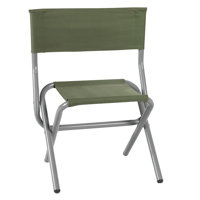 Bineau Heavy Duty Steel Folding Camp Chair by Arlmont & Co.