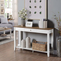 Carbin 48" Console Table with Shelf by Winston Porter