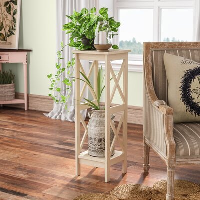 Eamon Square Multi-Tiered Solid Wood Plant Stand by Ophelia & Co.