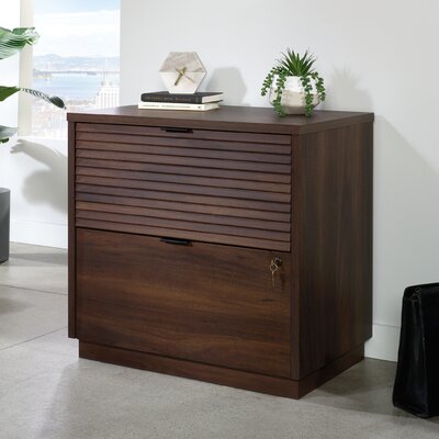 Zulte 2-Drawer Lateral Filing Cabinet by Ebern Designs