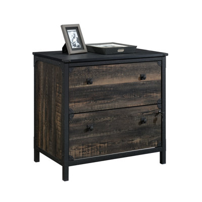 Geffrey 2-Drawer Lateral Filing Cabinet by 17 Stories