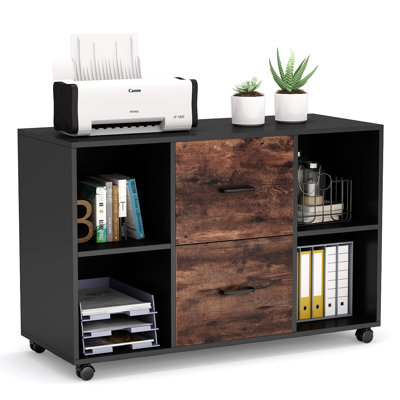 2 Drawer Lateral Filling Cabinet by 17 Stories