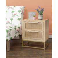 Dunster 2 - Drawer Cane Front Nightstand by Red Barrel Studio