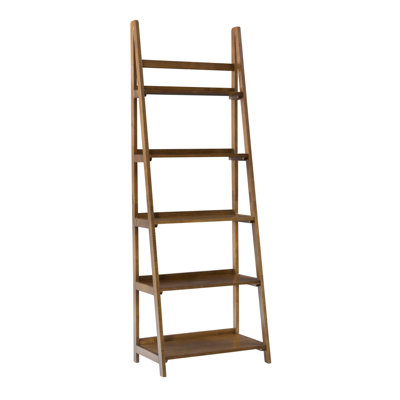 Kamal Ladder Bookcase by AllModern