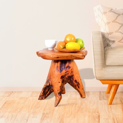 Adelie Tree Stump Natural Live Edge Stool by Millwood Pines