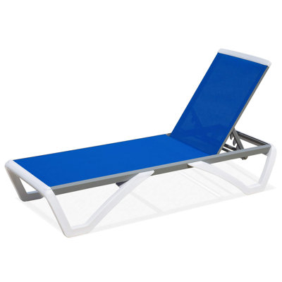 Colerain Outdoor Metal Chaise Lounge with Adjustable Positions