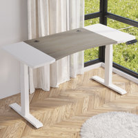Arionna 63"Dual Motor Adjustable Height Standing Desk by Inbox Zero