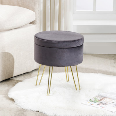 Stefan Iron Velvet Round Storage Accent Stool by Etta Avenue