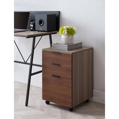 Horace 3-Drawer Vertical Filing Cabinet by Foundry Select