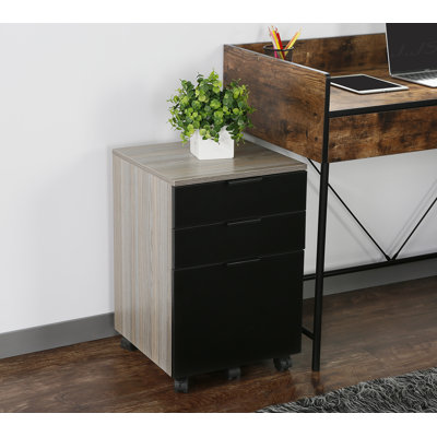 Horace 3-Drawer Vertical Filing Cabinet by Foundry Select