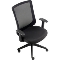 Task Chair by Interion