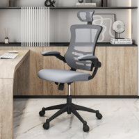 Domie Task Chair by Inbox Zero