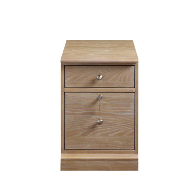 Samul 2 Drawer Mobile Vertical Filing Cabinet by Red Barrel Studio