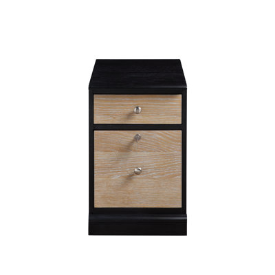 Samul 2 Drawer Mobile Vertical Filing Cabinet by Red Barrel Studio