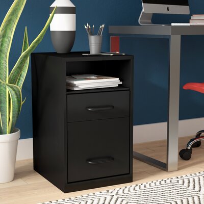 Bourassa 2-Drawer Vertical Filing Cabinet by Inbox Zero