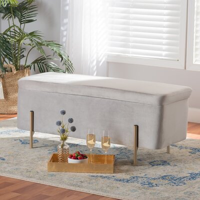 Molto Upholstered Flip Top Storage Bench by Etta Avenue