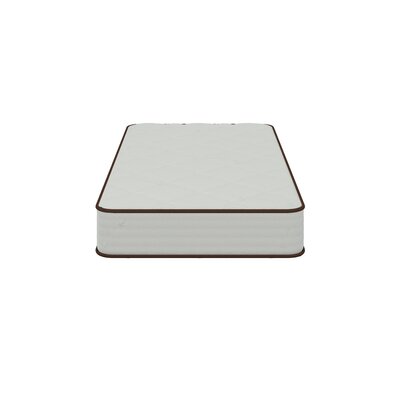 Raci Medium Hybrid Mattress by Alwyn Home