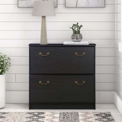 Anri 2-Drawer Lateral Filing Cabinet by Lark Manor