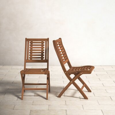 Kinsler Set of 2 Kinsler Outdoor Folding Dining Side Chairs by Birch Lane