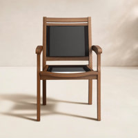 Carson Patio Chair by Birch Lane