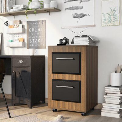 Kettering 2-Drawer Mobile Vertical Filing Cabinet by Latitude Run