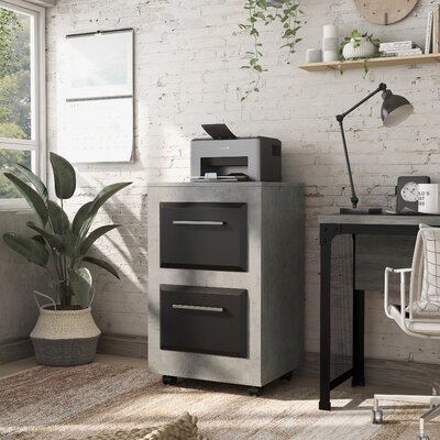 Kettering 2-Drawer Mobile Vertical Filing Cabinet by Latitude Run