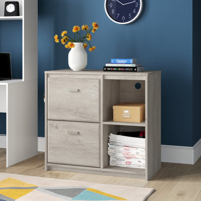 Bacher 2-Drawer Vertical Filing Cabinet by Zipcode Design