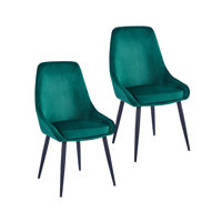 Mccoll Dining Chairs Set Of 2, Velvet Upholstery, Steel Legs by Trent Austin Design