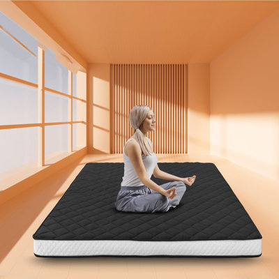 Gracinha Folding Futon Mattress, Extra Thick Padded Japanese Floor Mattress Quilted Bed by Alwyn Home