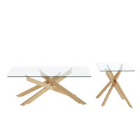 2-Piece Coffee Table And End Table Set With Glass Top by Everly Quinn