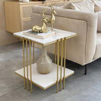Ratesha 17.5" Square Side End Table Marble Accent Small Table 2 Tier Storage Living Room by Everly Quinn