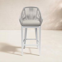 Renfri 29" Patio Bar Stool with Cushion