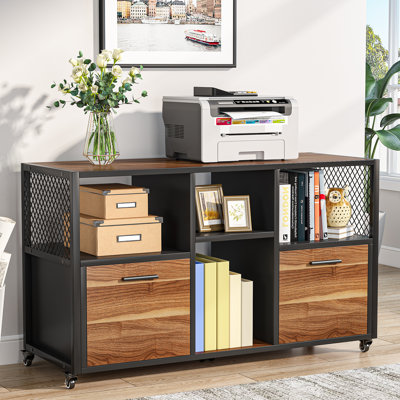 Jatarius 2 -Drawer Mobile Lateral Filing Cabinet by Inbox Zero