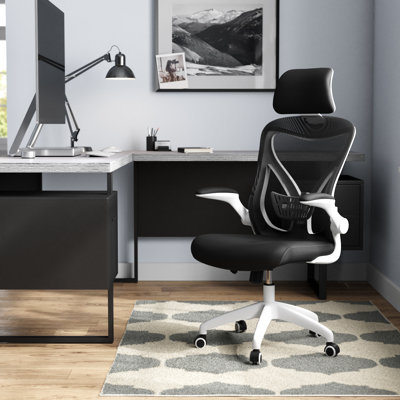 Molina Mesh Task Chair by The Twillery Co.