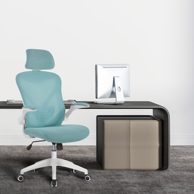 Molina Mesh Task Chair by The Twillery Co.