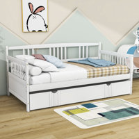 Daybed Wood Bed with Trundle by Red Barrel Studio