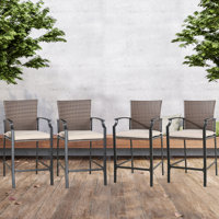Airic 27" Patio Bar Stool with Cushion by Lark Manor